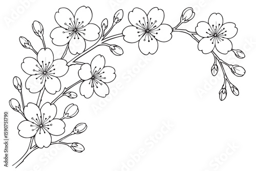 A floral vector background of sakura blossoms appears in black and white, with thick black outlines adding contrast and graceful detail.