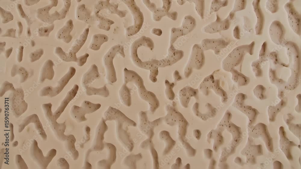 Abstract Beige Texture: Intricate Patterns and Organic Formations - Close-Up