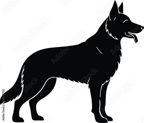 german shepherd dog vector illustration