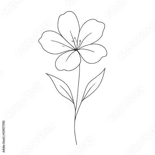 White flower outline with transparent background perfect for spring designs and floral illustrations