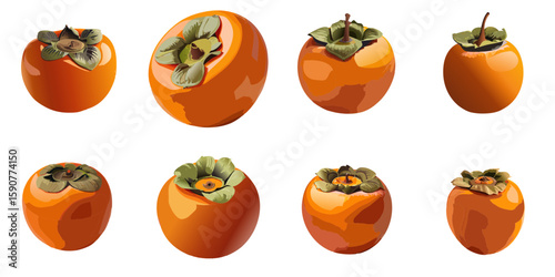 Multiple vector illustrations of delicately drawn persimmons

