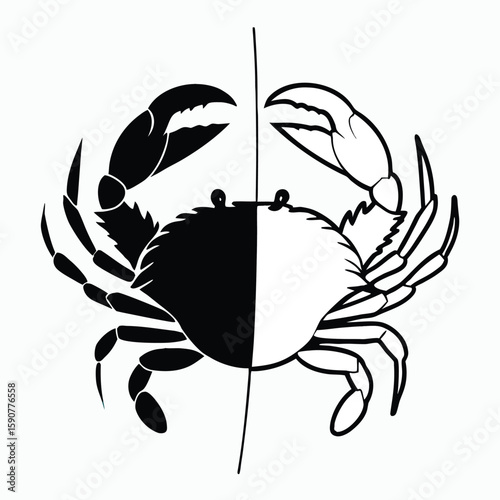 Symmetrical black and white crab illustration symbolizing duality and balance