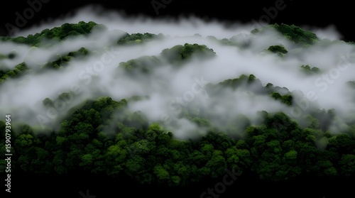An aerial view of a dense, dark green forest shrouded in mystical white mist, set against a black background. AI Generative 