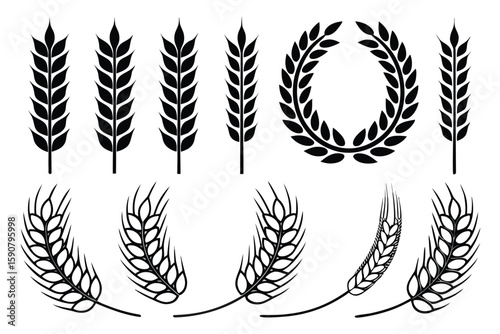 Wheat stalks and laurel wreath grain agriculture