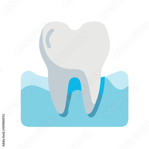 Healthy tooth in gum showing root structure, stomatology concept. Flat icon for dental care, hygiene, dentist or clinic illustration