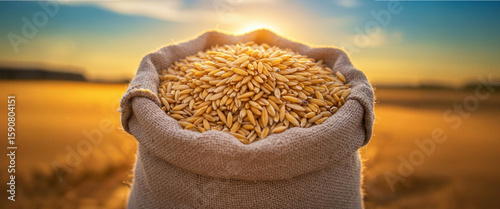 Wheat grains in a burlap sack against golden sunset background  
