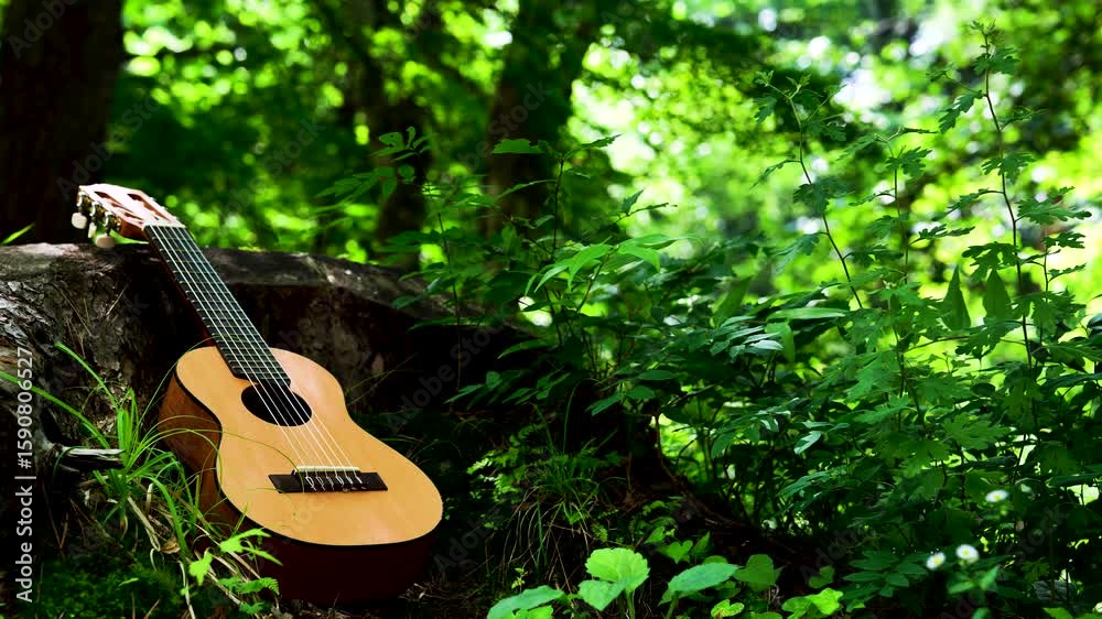 8K to 4k Guiter - Harmony of Music and Nature 