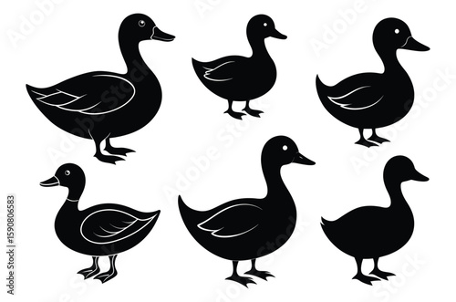 Set of black and white Duck silhouette, Duck vector illustration, Animal silhouette, Pet silhouette isolated vector Illustration, png, goose icon