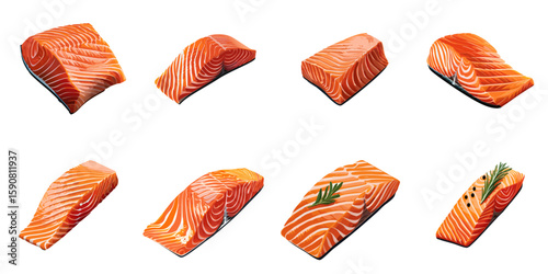 Multiple vector illustrations of delicately drawn salmon fillets

