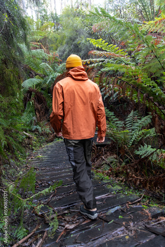 Tableau sur toile Hiker walking on wooden path in lush forest