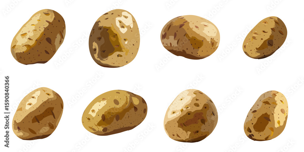 Obraz premium Multiple vector illustrations of delicately drawn potatoes