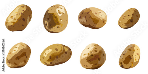Multiple vector illustrations of delicately drawn potatoes

