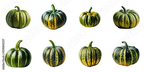 Multiple vector illustrations of delicately drawn green pumpkins


