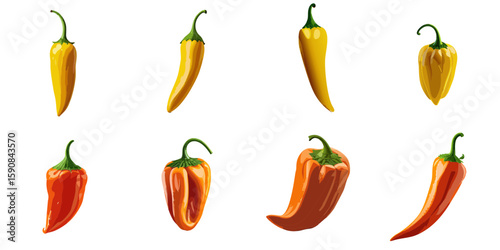 Multiple vector illustrations of delicately drawn yellow and orange chili peppers

