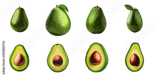 Multiple vector illustrations of delicately drawn avocados

