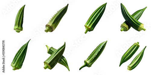 Multiple vector illustrations of delicately drawn okra

