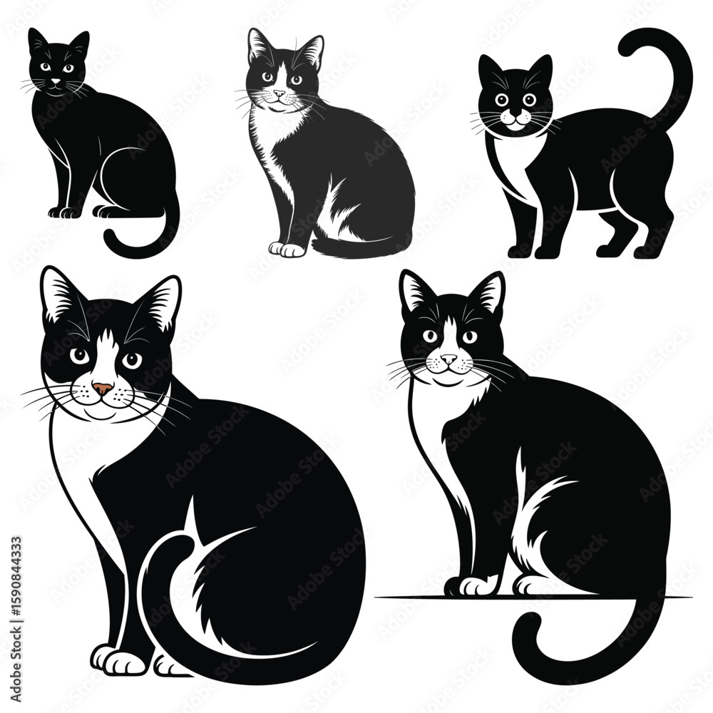 Fototapeta premium set of cats