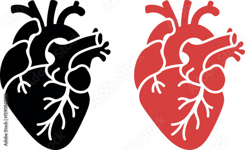 Anatomical heart with blood vessels in black and red silhouette