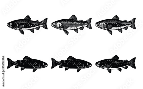 Black and White Trout Fish Illustration Set on Isolated Background on white background