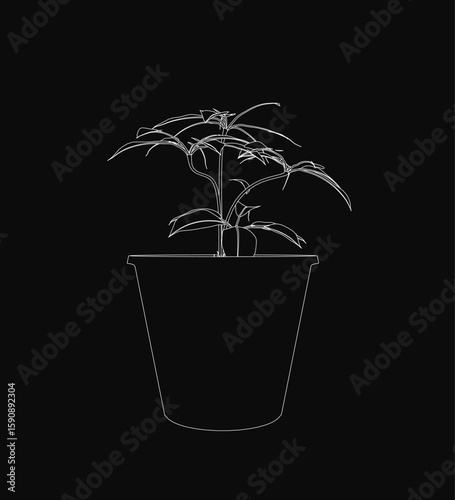 A black and white contour drawing of a potted plant stands out against a dark background. The white outline defines the pot and leaves, creating striking contrast.