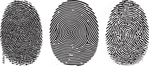Detailed Fingerprint Swirl Biometric Identity Texture