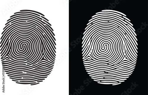 Detailed Fingerprint Swirl Biometric Identity Texture
