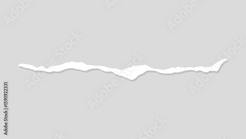 A jagged, torn paper edge on a light gray background, element vector