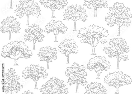 Seamless pattern of hand drawn trees in black and white color