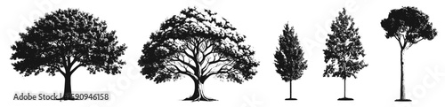 tree silhouette architecture and landscaping model