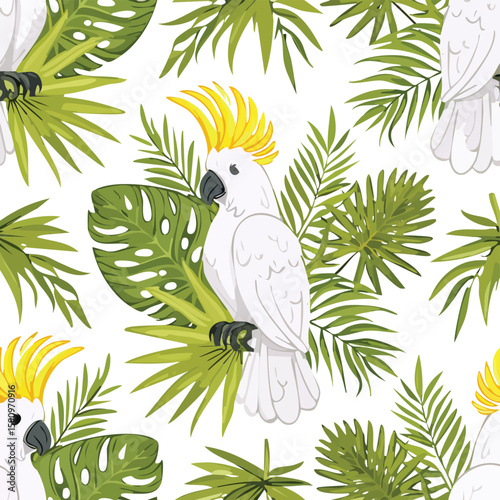 Cockatoo Vector Illustration with Seamless Pattern Design