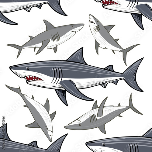 Great White Shark Vector Illustration with Seamless Pattern Design