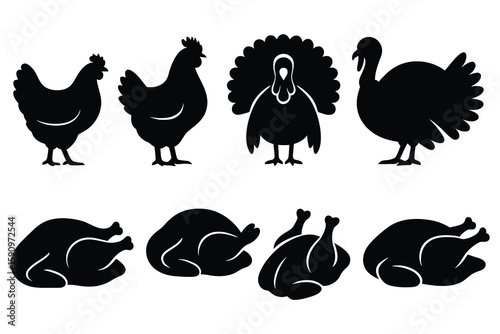 Chicken turkey silhouettes poultry bird