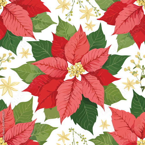 Poinsettia Vector Illustration with Seamless Pattern Design