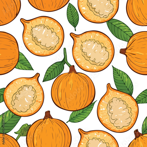 Santol Vector Illustration with Seamless Pattern Design