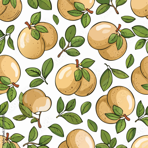 White Sapote Vector Illustration with Seamless Pattern Design