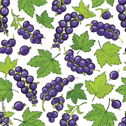 Blackcurrant Vector Illustration with Seamless Pattern Design