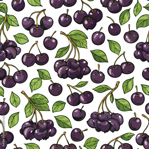 Chokecherry Vector Illustration with Seamless Pattern Design