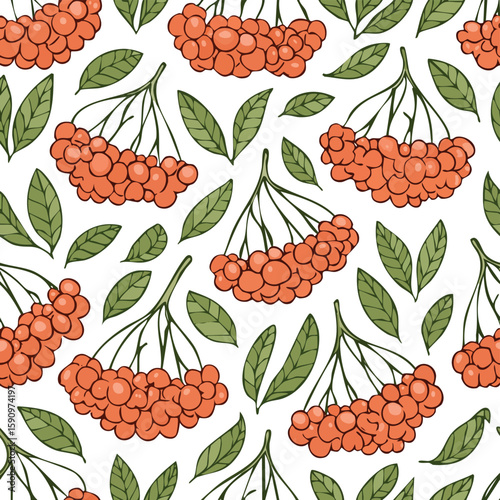 Rowanberry Vector Illustration with Seamless Pattern Design