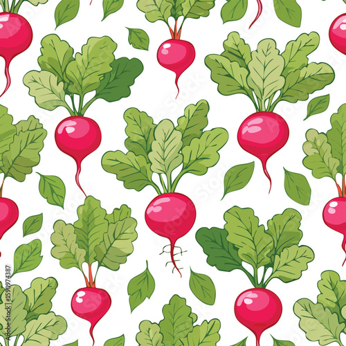 Radish Vector Illustration with Seamless Pattern Design