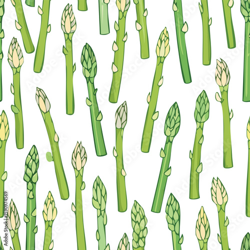 Asparagus Vector Illustration with Seamless Pattern Design