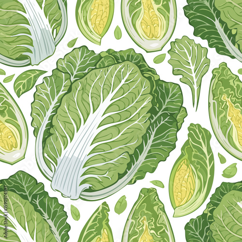 Napa Cabbage Vector Illustration with Seamless Pattern Design