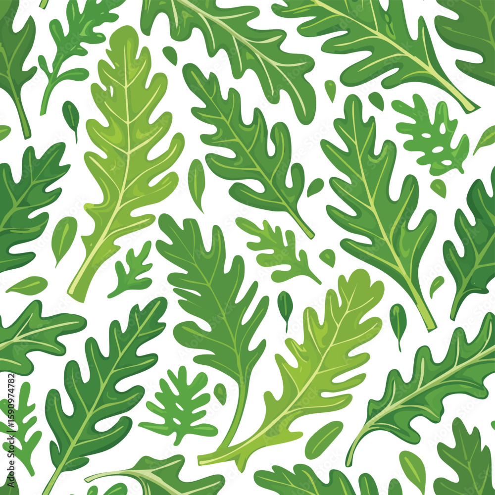 Obraz premium Arugula Vector Illustration with Seamless Pattern Design