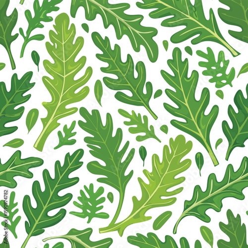 Arugula Vector Illustration with Seamless Pattern Design
