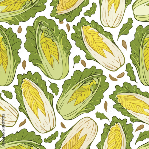 Endive Vector Illustration with Seamless Pattern Design