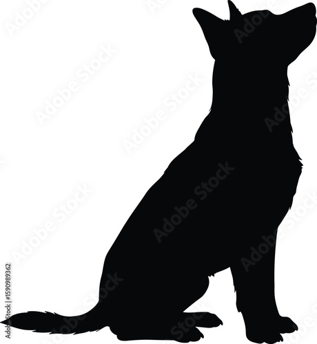 PrintSilhouette of sitting dog looking up, obedient pet posture, black dog outline, loyal animal pose, canine vector illustration design