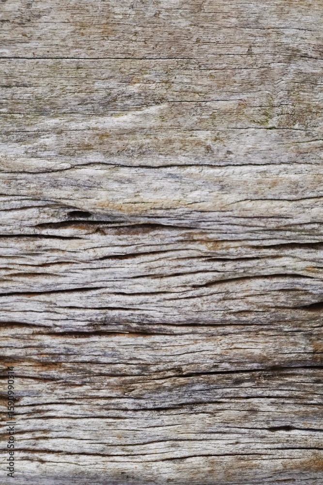 Naklejka premium close up of wooden texture for background