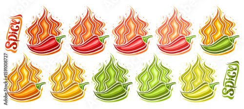 Vector Spicy Chili Pepper Set