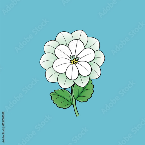 Elegant white geranium flower illustration on a clean background