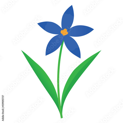 Delicate blue eyed grass illustration on a clean white background
