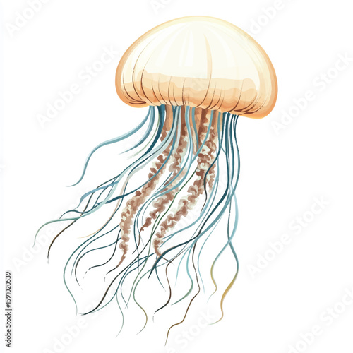 a jellyfish with flowing tentacle